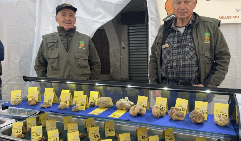 FESTA DEL TARTUFO A MILLESIMO