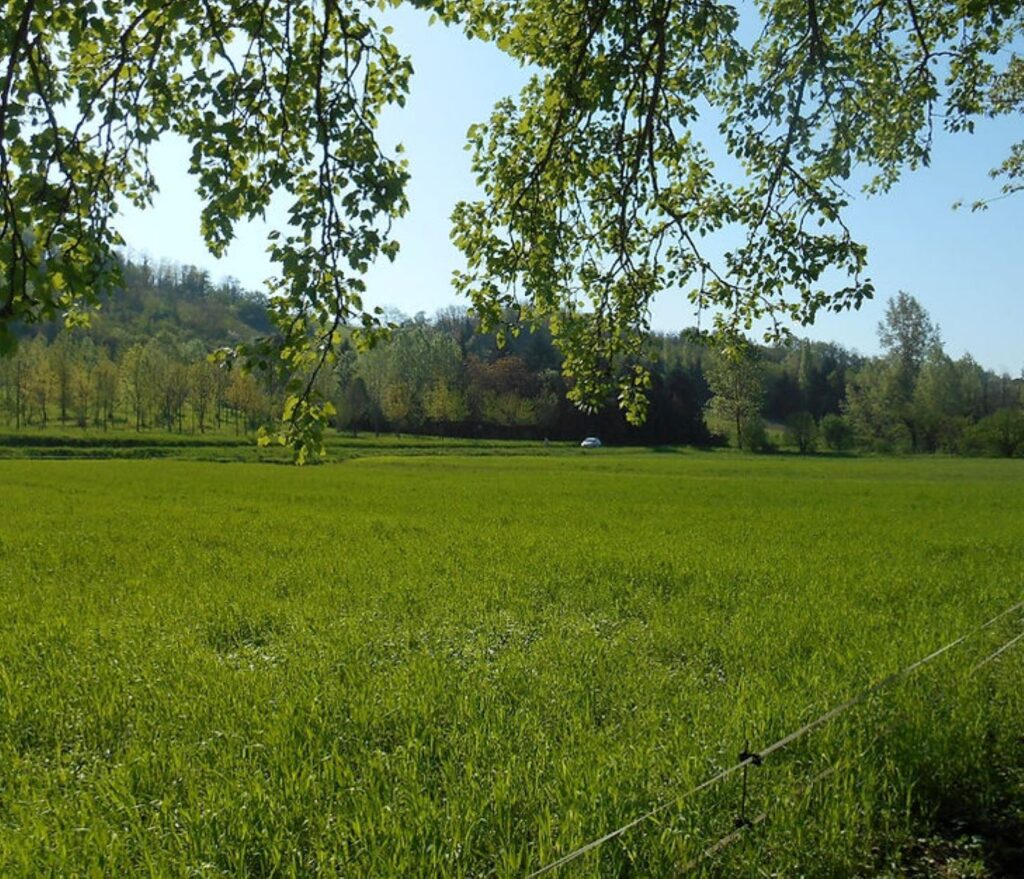 VIENI IN CAMPAGNA: EDUCAZIONE AGROALIMENTARE PER LE SCUOLE