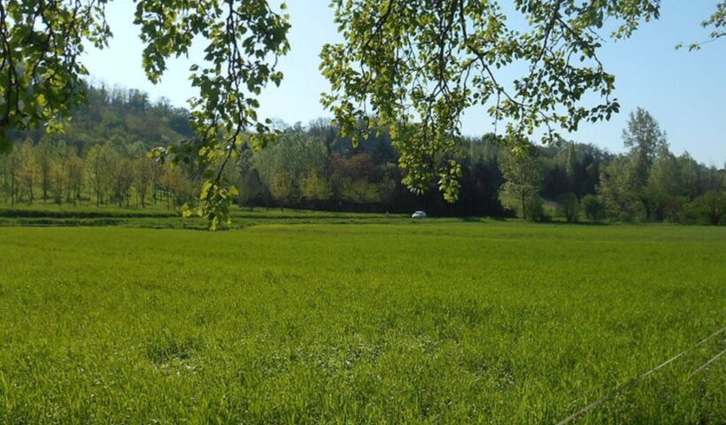 VIENI IN CAMPAGNA: EDUCAZIONE AGROALIMENTARE PER LE SCUOLE