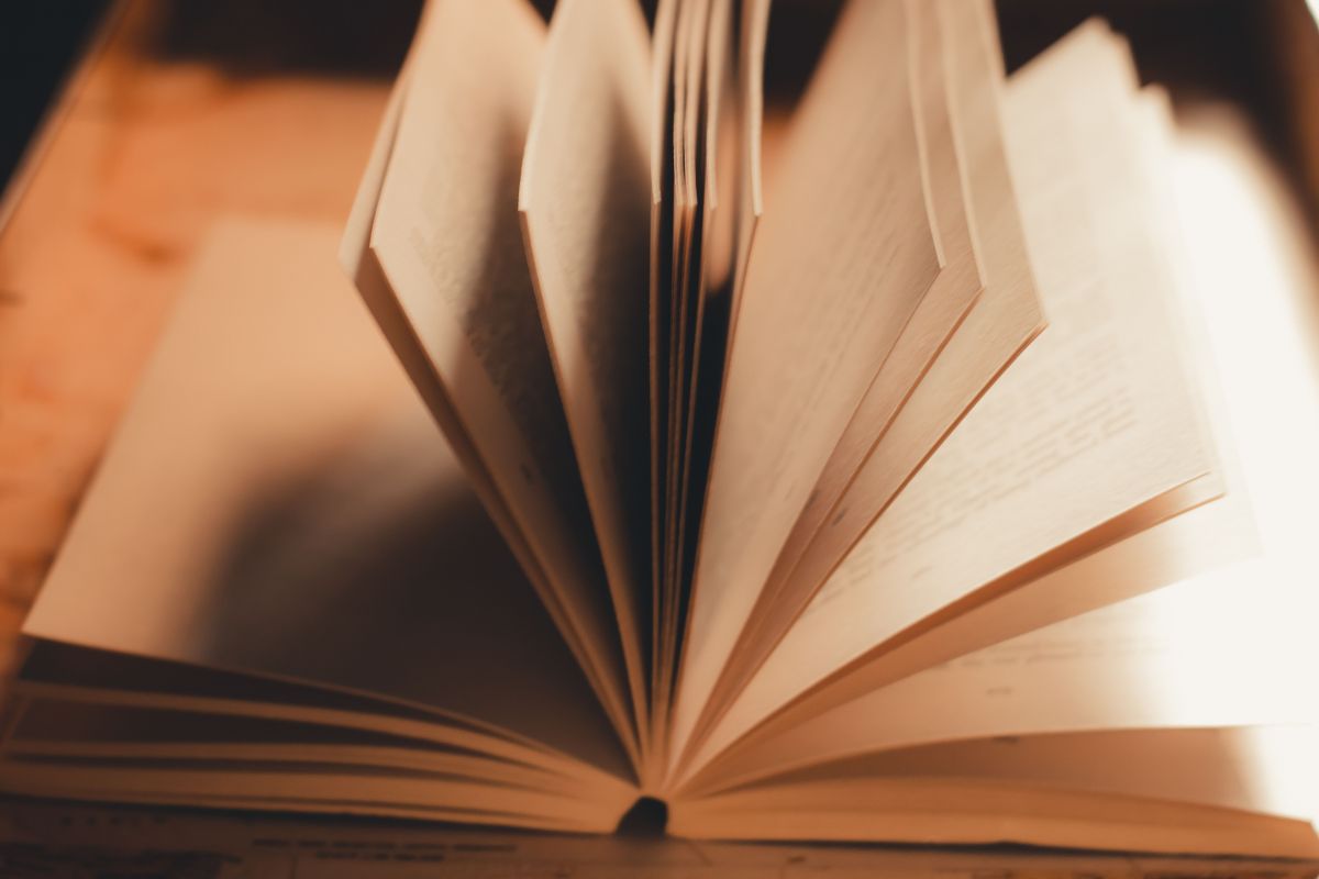 nuove proposte editoriali massimo soncini editore
