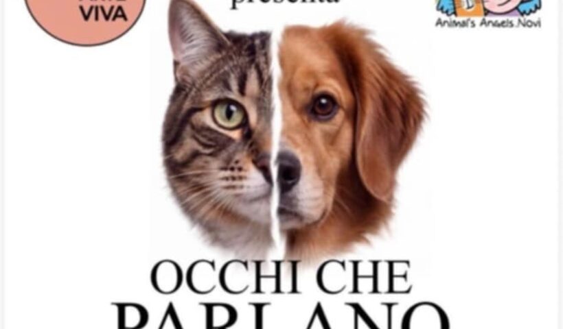 occhi-che-parlano spazio arte viva tortona