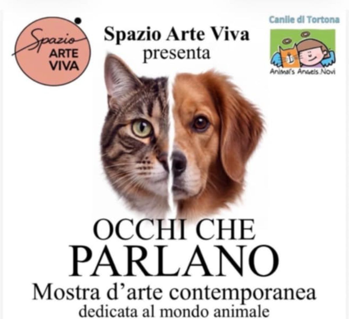 occhi-che-parlano spazio arte viva tortona